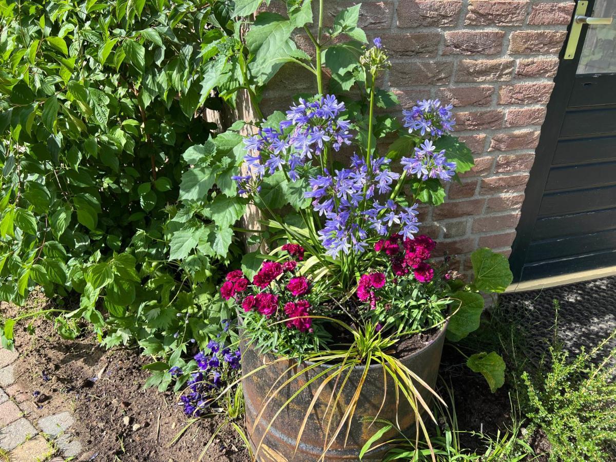 Supergezellig Vakantiehuis Met Hele Grote Tuin Bij Nijmegen Ewijk Kültér fotó